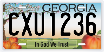 GA license plate CXU1236