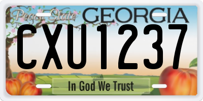 GA license plate CXU1237