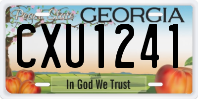 GA license plate CXU1241