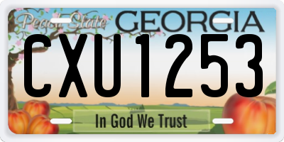 GA license plate CXU1253