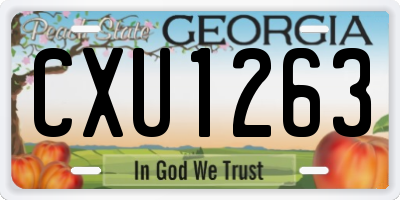 GA license plate CXU1263