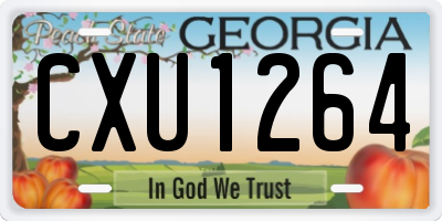 GA license plate CXU1264