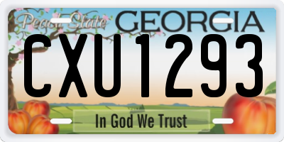GA license plate CXU1293