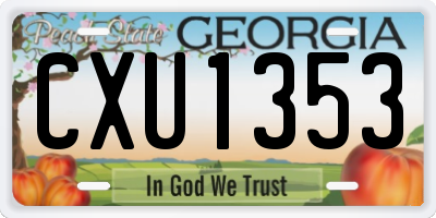 GA license plate CXU1353