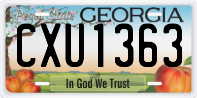 GA license plate CXU1363