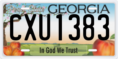 GA license plate CXU1383