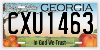 GA license plate CXU1463