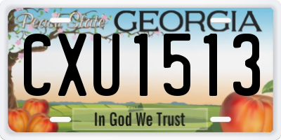 GA license plate CXU1513