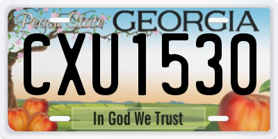 GA license plate CXU1530