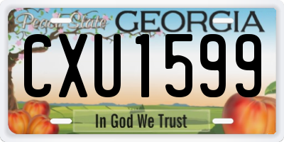 GA license plate CXU1599