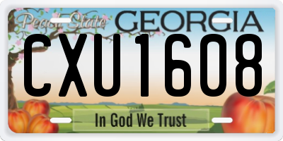 GA license plate CXU1608