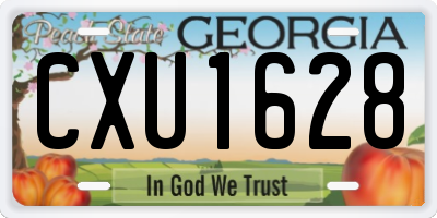GA license plate CXU1628