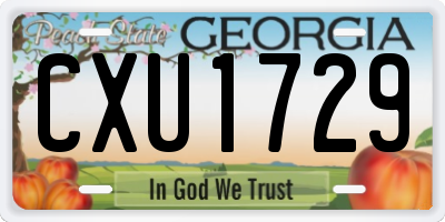 GA license plate CXU1729