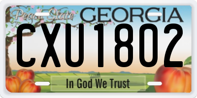 GA license plate CXU1802