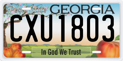 GA license plate CXU1803