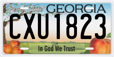 GA license plate CXU1823