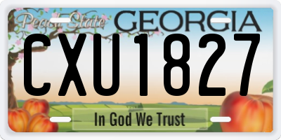 GA license plate CXU1827