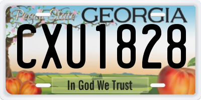GA license plate CXU1828