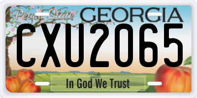 GA license plate CXU2065