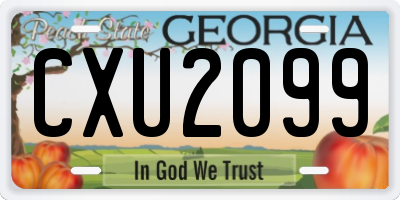 GA license plate CXU2099