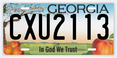 GA license plate CXU2113