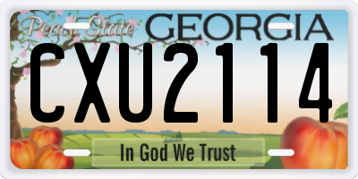 GA license plate CXU2114