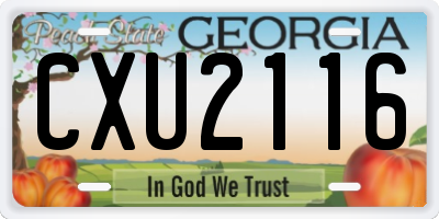GA license plate CXU2116
