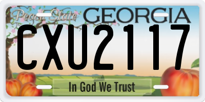 GA license plate CXU2117