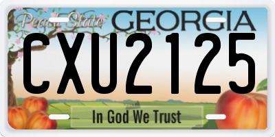 GA license plate CXU2125