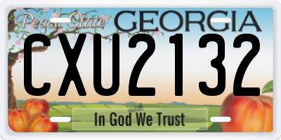 GA license plate CXU2132
