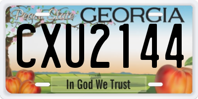 GA license plate CXU2144