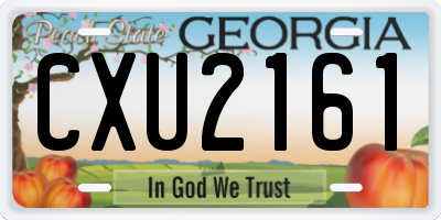 GA license plate CXU2161