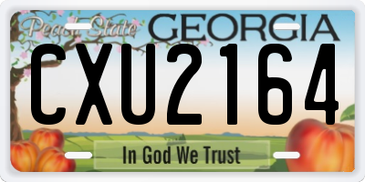 GA license plate CXU2164