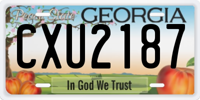 GA license plate CXU2187