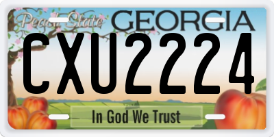 GA license plate CXU2224