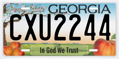 GA license plate CXU2244