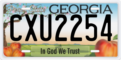 GA license plate CXU2254