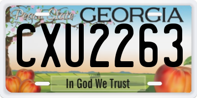 GA license plate CXU2263