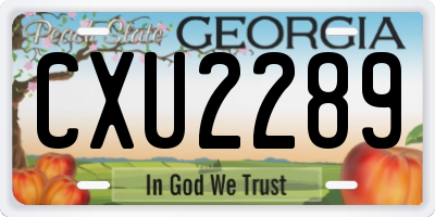 GA license plate CXU2289