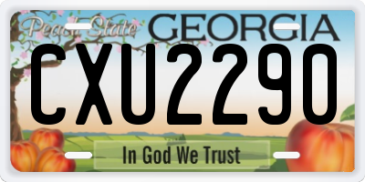 GA license plate CXU2290