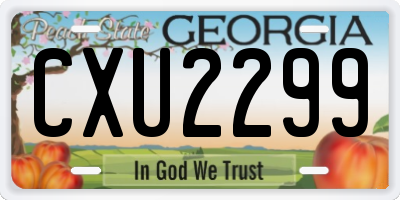 GA license plate CXU2299