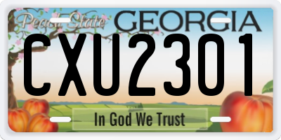 GA license plate CXU2301