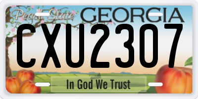 GA license plate CXU2307