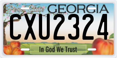 GA license plate CXU2324