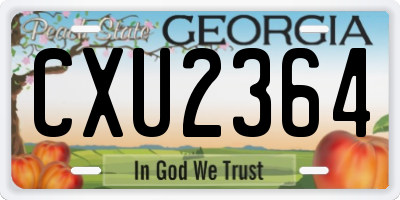 GA license plate CXU2364