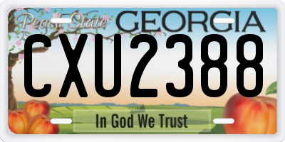 GA license plate CXU2388