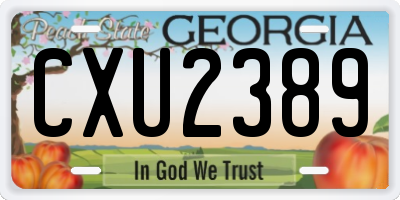 GA license plate CXU2389