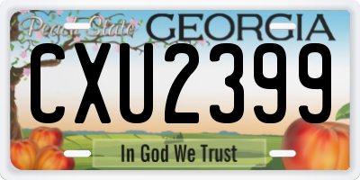 GA license plate CXU2399