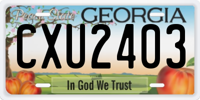 GA license plate CXU2403