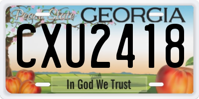 GA license plate CXU2418